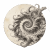 freepik__200x200-transparent-png-central-circle-to-edges-de__46019
